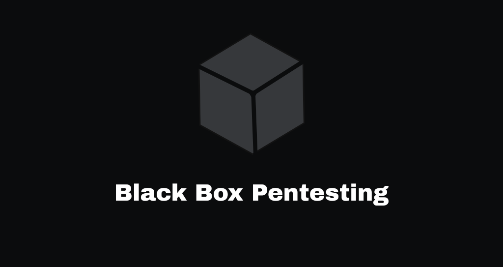 Black Box Pentesting